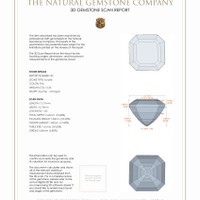 24.45&nbsp;Ct.Tw.Total Carat Weight Kunzite Pair from Afghanistan 3 D Scan Report