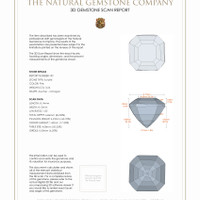 6.72 Ct.Tw.Total Carat Weight Kunzite Pair from Afghanistan 3 D Scan Report