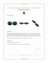 2.95 Ct.Tw.Total Carat Weight Greenish Blue Sapphire Pair from Ceylon (Sri Lanka) Appraisal