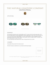 1.01 Ct.Tw.Total Carat Weight Alexandrite Pair from Ceylon (Sri Lanka) Appraisal