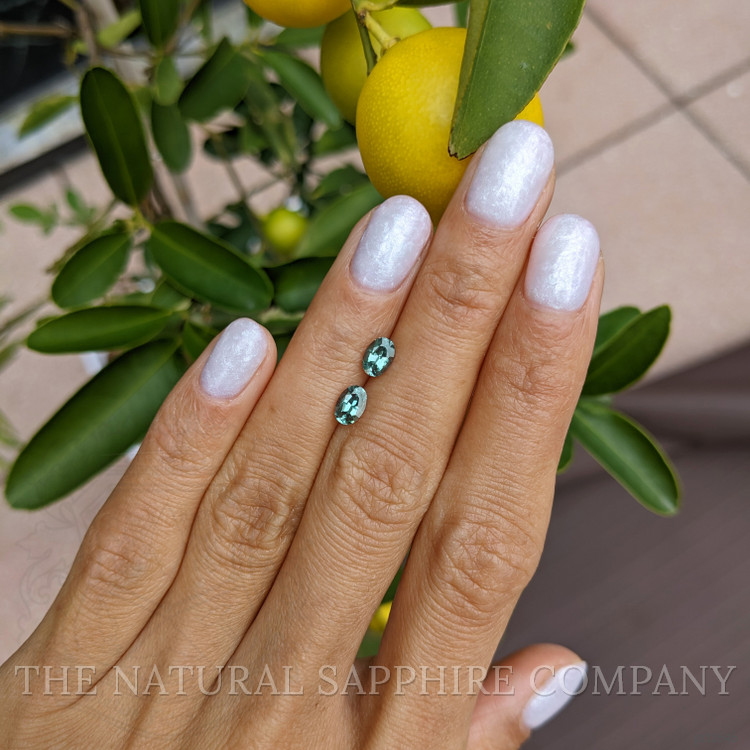 1.02 Ct.Tw. Alexandrite Pair from Ceylon (Sri Lanka)