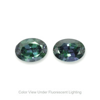 1.61&nbsp;Ct.Tw.Total Carat Weight Alexandrite Pair from Ceylon (Sri Lanka) Video