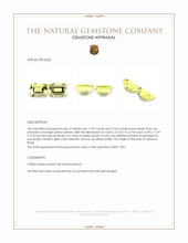 24.62 Ct.Tw.Total Carat Weight Yellow Citrine Pair from Brazil Appraisal