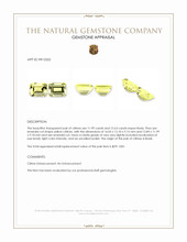 24.62 Ct.Tw.Total Carat Weight Citrine Pair from Brazil Appraisal