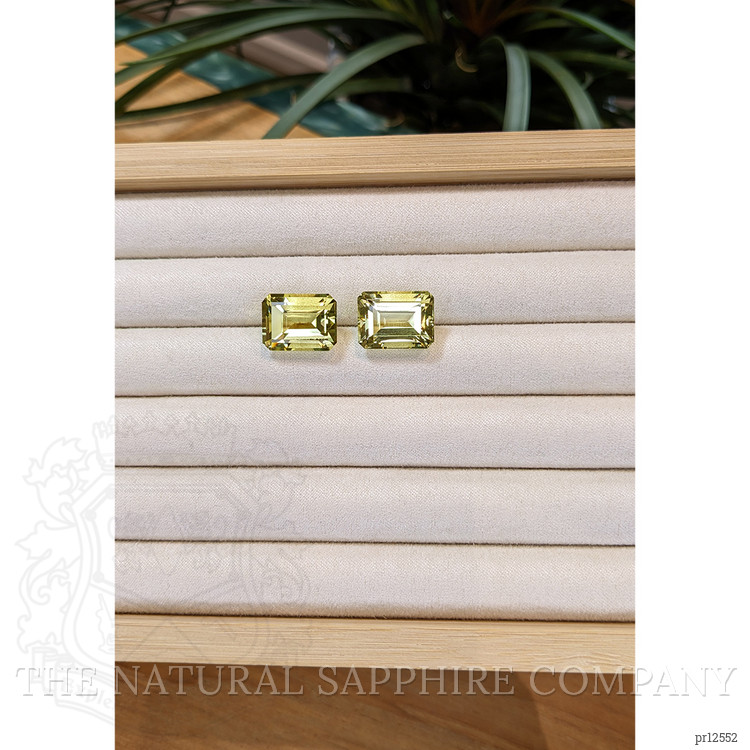 24.62 Ct.Tw. Citrine Pair from Brazil