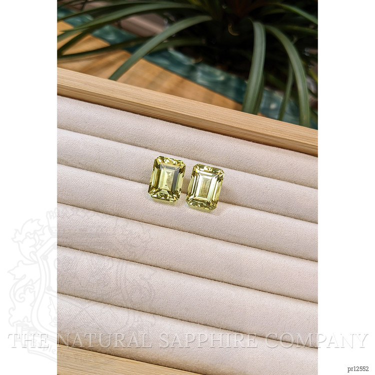 24.62 Ct.Tw. Citrine Pair from Brazil