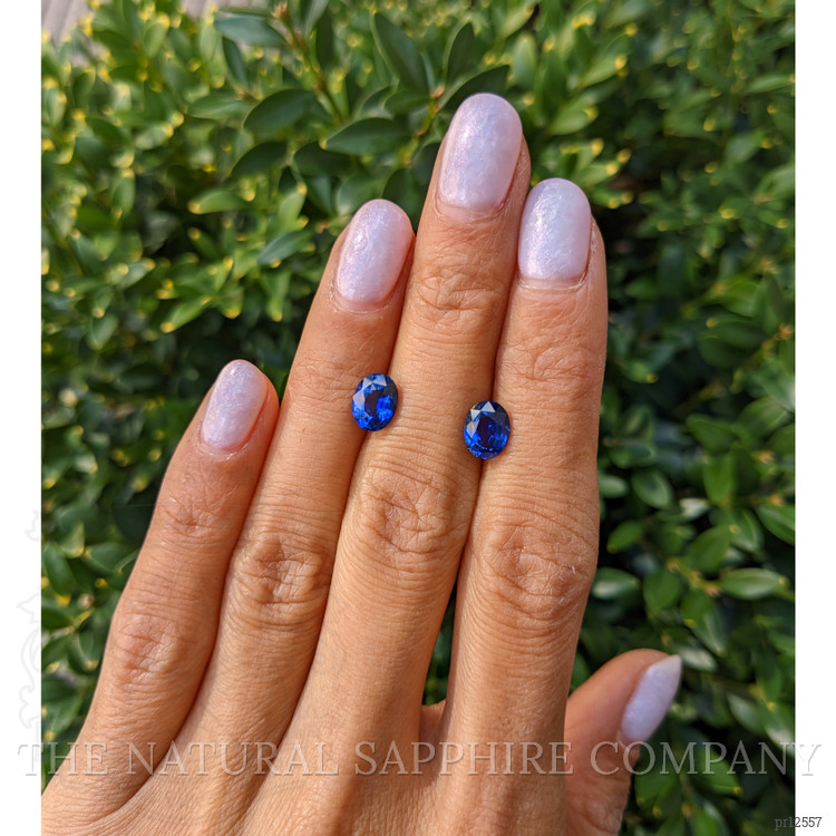 3.05 Ct.Tw. Blue Sapphire Pair from Ceylon (Sri Lanka)