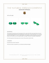 0.92&nbsp;Ct.Tw.Total Carat Weight Emerald Pair from Afghanistan Appraisal