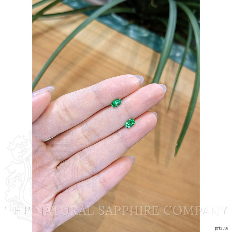 0.92 Ct.Tw. Emerald Pair from Afghanistan