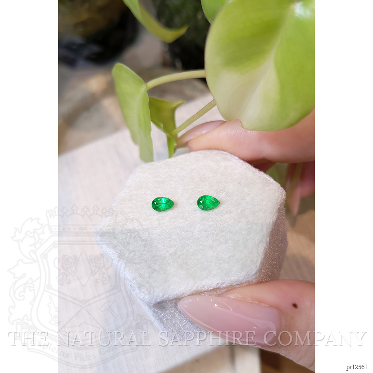 0.62 Ct.Tw. Emerald Pair from Colombia