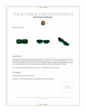 8.86 Ct.Tw.Total Carat Weight Emerald Pair from Zambia Appraisal