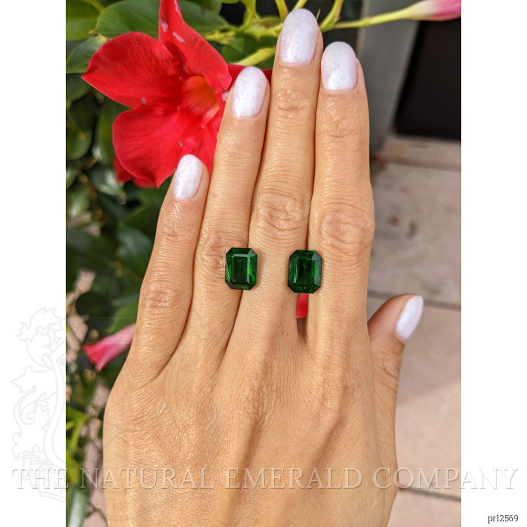8.86 Ct.Tw. Emerald Pair from Zambia
