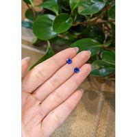1.36&nbsp;Ct.Tw.Total Carat Weight Blue Sapphire Pair from Ceylon (Sri Lanka) Life Style