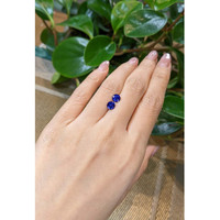 1.66&nbsp;Ct.Tw.Total Carat Weight Blue Sapphire Pair from Ceylon (Sri Lanka) Life Style