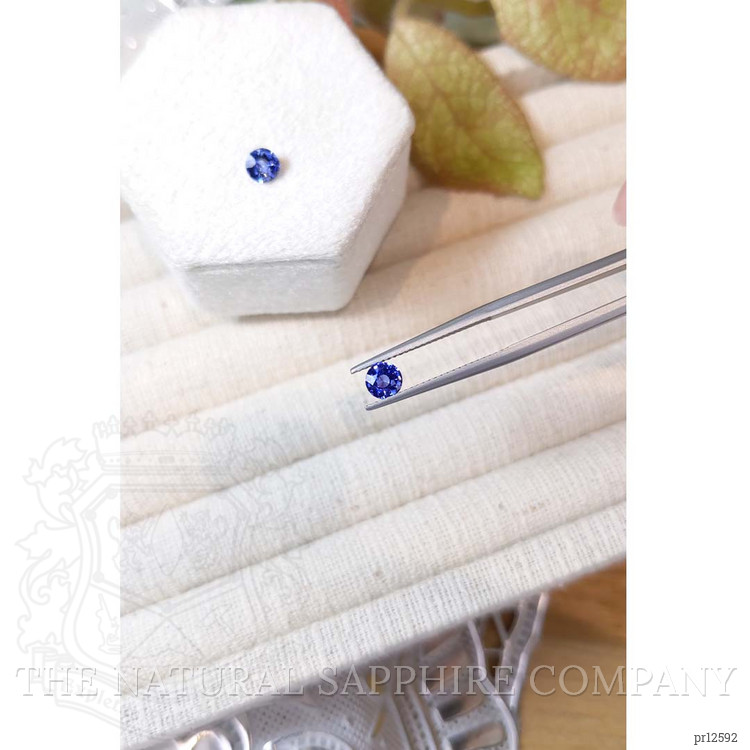 1.11 Ct.Tw. Blue Sapphire Pair from Ceylon (Sri Lanka)