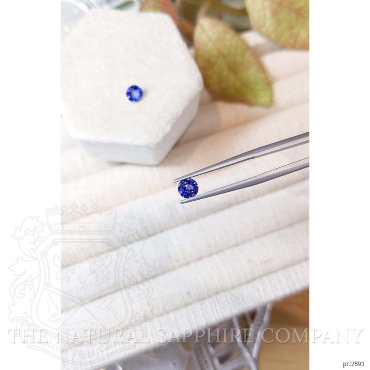 1.27 Ct.Tw. Blue Sapphire Pair from Ceylon (Sri Lanka)