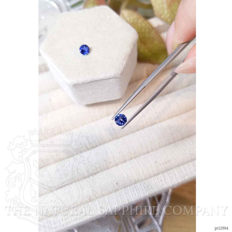 1.17 Ct.Tw. Blue Sapphire Pair from Ceylon (Sri Lanka)