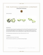 1.71&nbsp;Ct.Tw.Total Carat Weight Tourmaline Pair from Brazil Appraisal