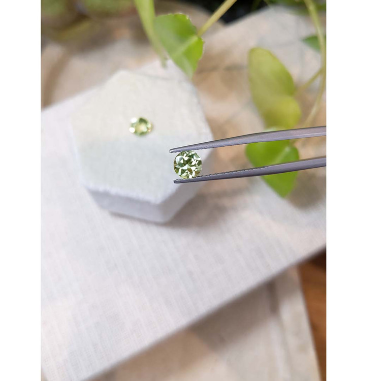 1.71 Ct.Tw. Tourmaline Pair from Brazil