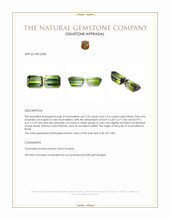 4.79 Ct.Tw.Total Carat Weight Tourmaline Pair from Brazil Appraisal