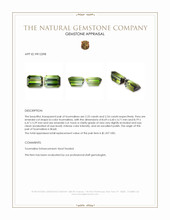 4.79 Ct.Tw.Total Carat Weight Tourmaline Pair from Brazil Appraisal