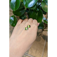 4.79&nbsp;Ct.Tw.Total Carat Weight Tourmaline Pair from Brazil Life Style