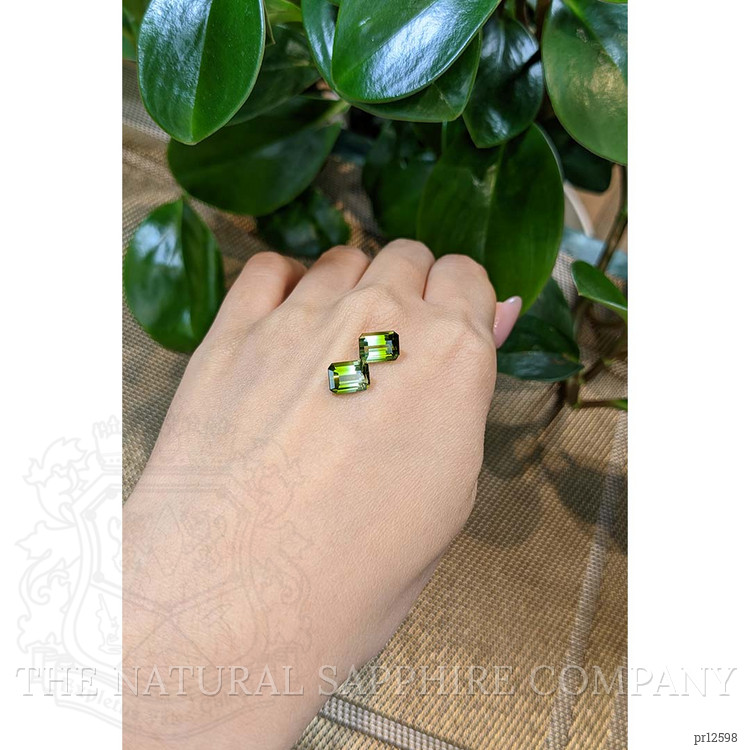 4.79 Ct.Tw. Tourmaline Pair from Brazil