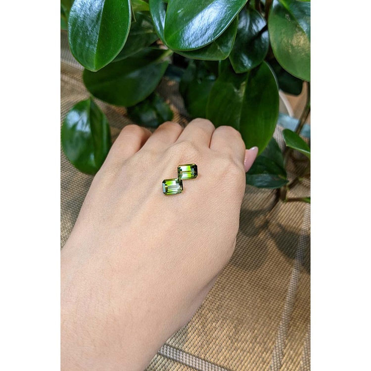 4.79 Ct.Tw. Tourmaline Pair from Brazil