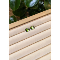 4.79&nbsp;Ct.Tw.Total Carat Weight Tourmaline Pair from Brazil Life Style