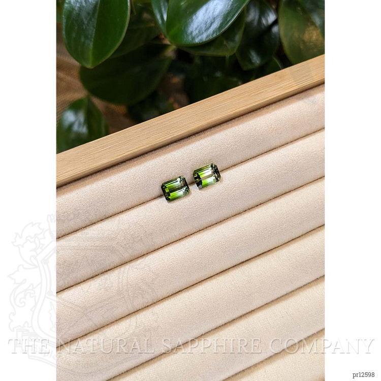 4.79 Ct.Tw. Tourmaline Pair from Brazil