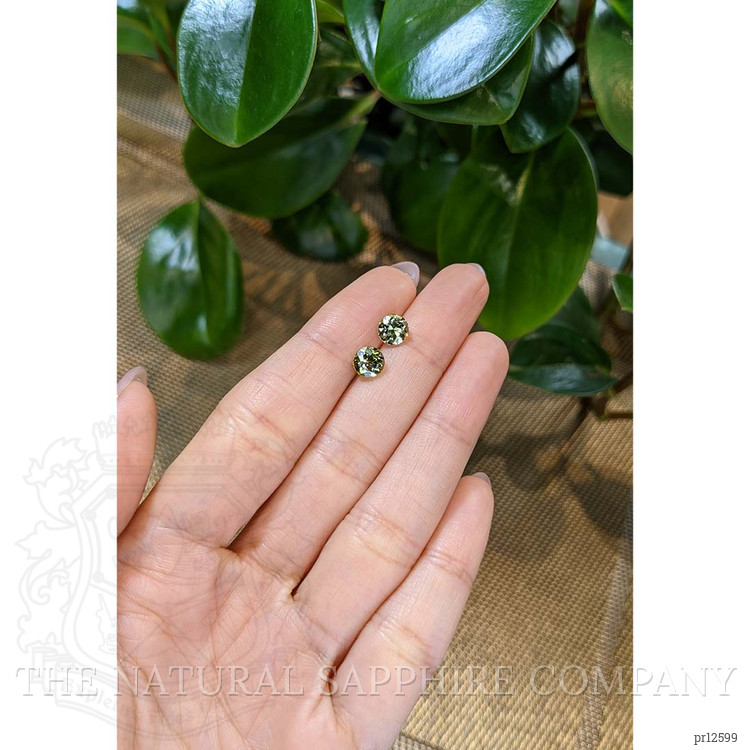 1.74 Ct.Tw. Tourmaline Pair from Brazil