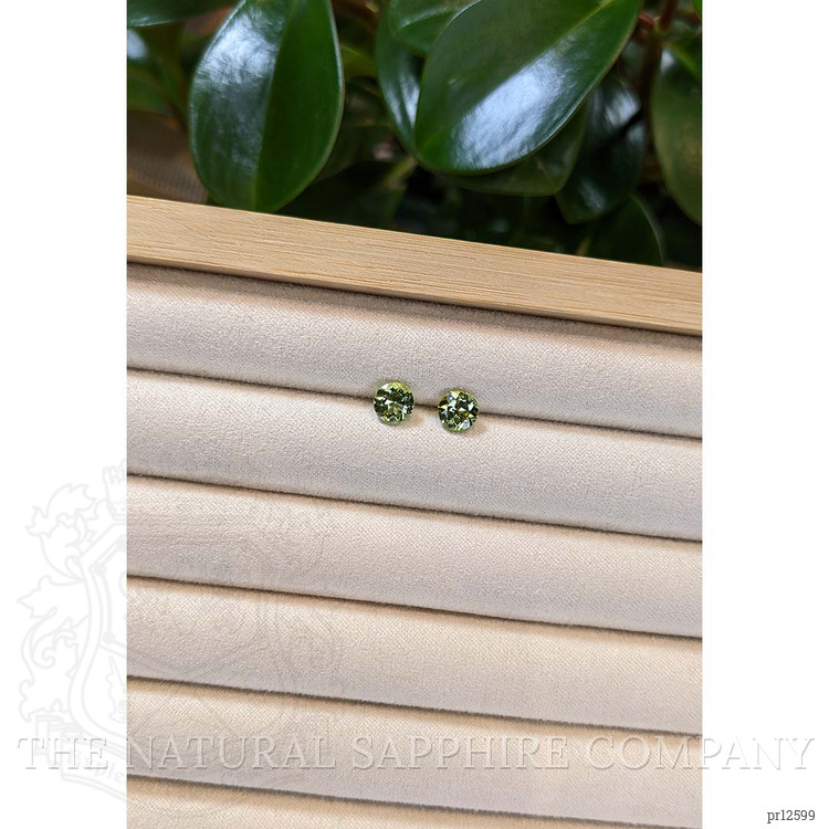 1.74 Ct.Tw. Tourmaline Pair from Brazil