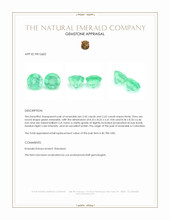 5.07 Ct.Tw.Total Carat Weight Emerald Pair from Colombia Appraisal