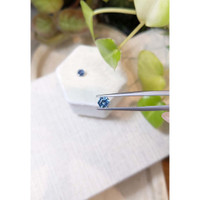 1.48 Ct.Tw.Total Carat Weight Greenish Blue Sapphire Pair from Montana Life Style