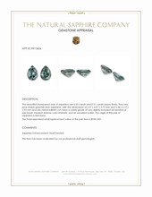 0.94 Ct.Tw.Total Carat Weight Greenish Blue Sapphire Pair from Montana Appraisal