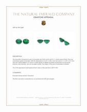 1.39&nbsp;Ct.Tw.Total Carat Weight Emerald Pair from Zambia Appraisal