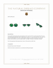 1.42 Ct.Tw.Total Carat Weight Emerald Pair from Zambia Appraisal