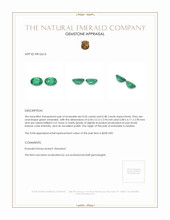 0.93&nbsp;Ct.Tw.Total Carat Weight Emerald Pair from Zambia Appraisal