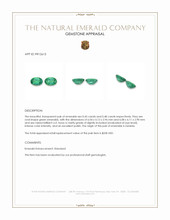 0.93 Ct.Tw.Total Carat Weight Emerald Pair from Zambia Appraisal
