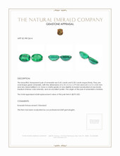 0.95 Ct.Tw.Total Carat Weight Emerald Pair from Zambia Appraisal