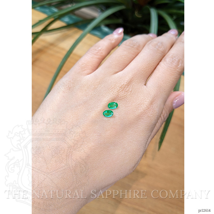0.95 Ct.Tw. Emerald Pair from Zambia