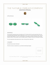 0.76 Ct.Tw.Total Carat Weight Emerald Pair from Zambia Appraisal