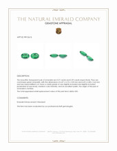 0.76 Ct.Tw.Total Carat Weight Emerald Pair from Zambia Appraisal
