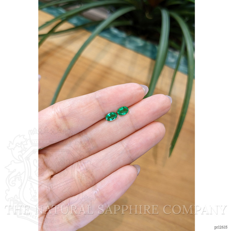 0.76 Ct.Tw. Emerald Pair from Zambia