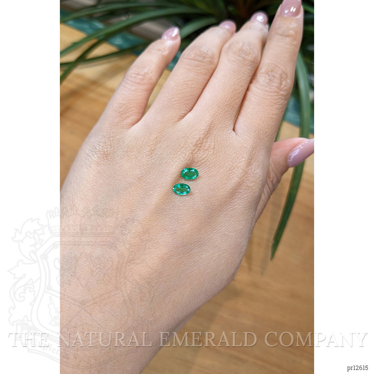 0.76 Ct.Tw. Emerald Pair from Zambia