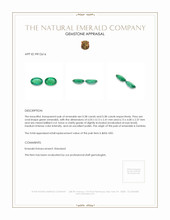 0.76 Ct.Tw.Total Carat Weight Emerald Pair from Zambia Appraisal