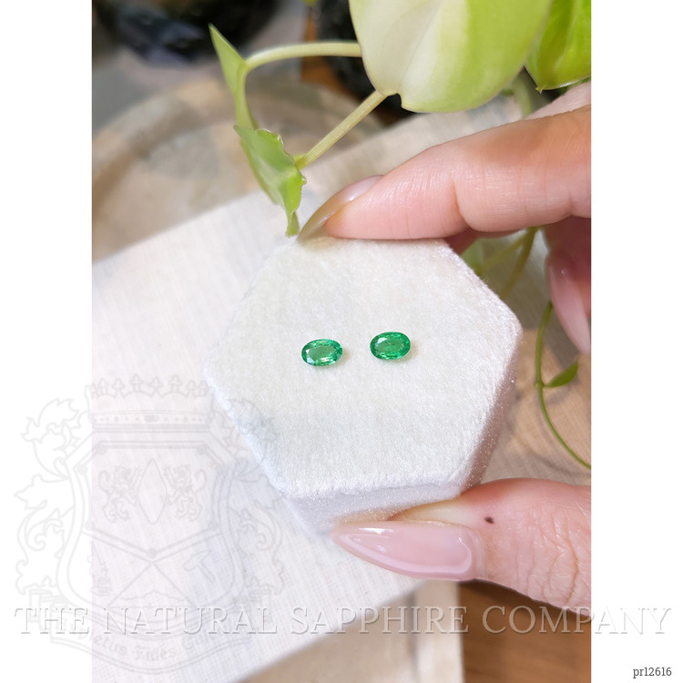 0.76 Ct.Tw. Emerald Pair from Zambia