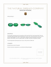 0.83 Ct.Tw.Total Carat Weight Emerald Pair from Zambia Appraisal