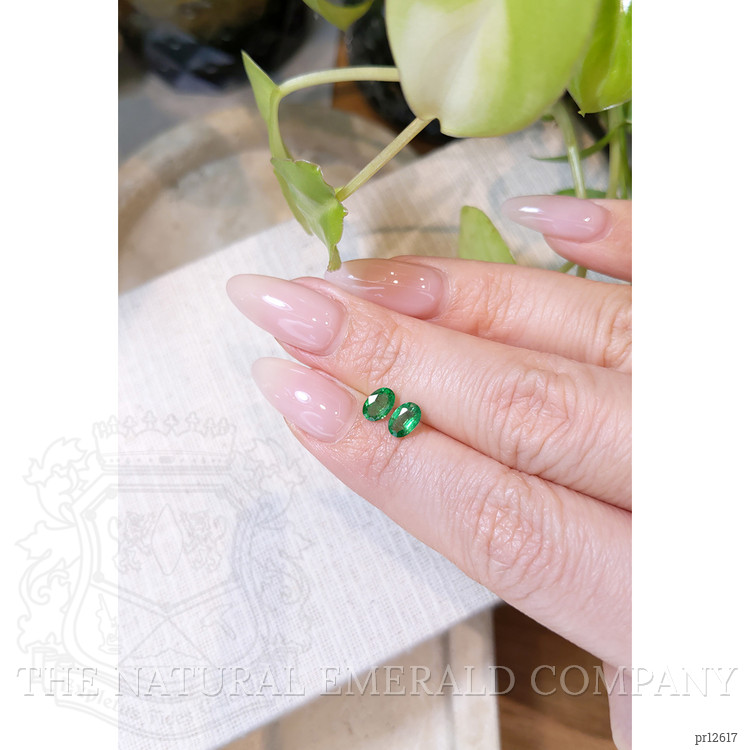 0.83 Ct.Tw. Emerald Pair from Zambia