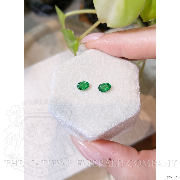 0.83 Ct.Tw. Emerald Pair from Zambia